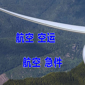新源那拉提机场物流快递-选东方航空和上海航空