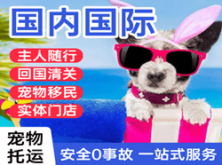 新源那拉提机场物流国际宠物托运 【国